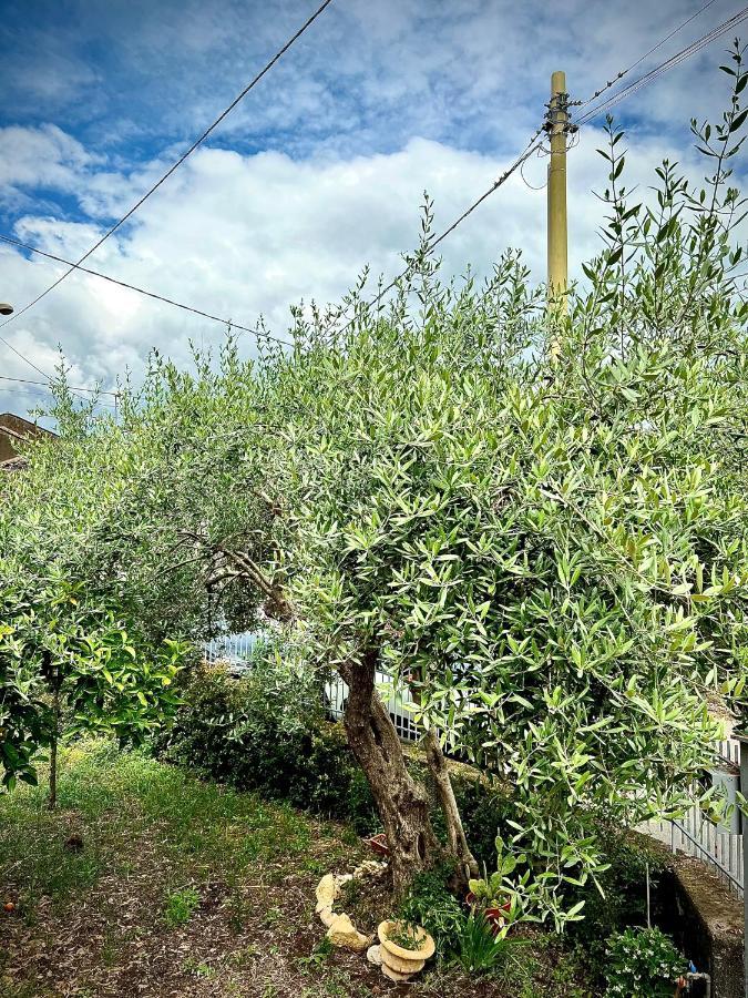 Casa Vacanze "Sautufao" Santa Venerina Esterno foto