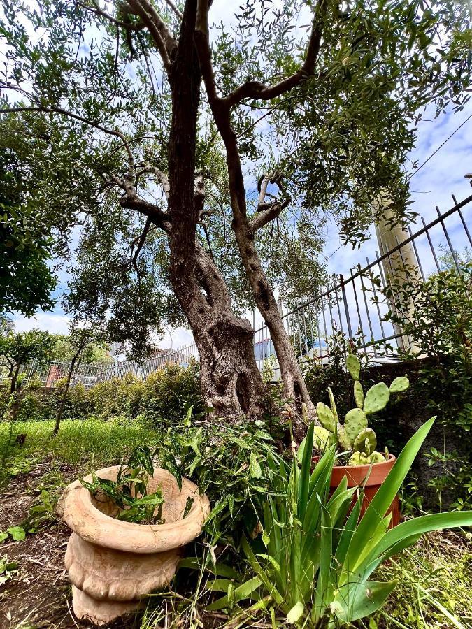 Casa Vacanze "Sautufao" Santa Venerina Esterno foto