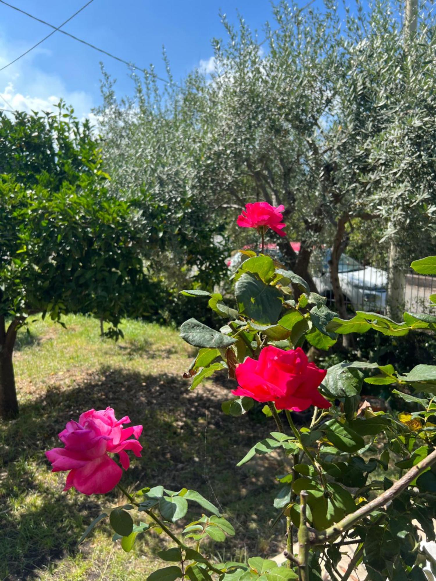 Casa Vacanze "Sautufao" Santa Venerina Esterno foto