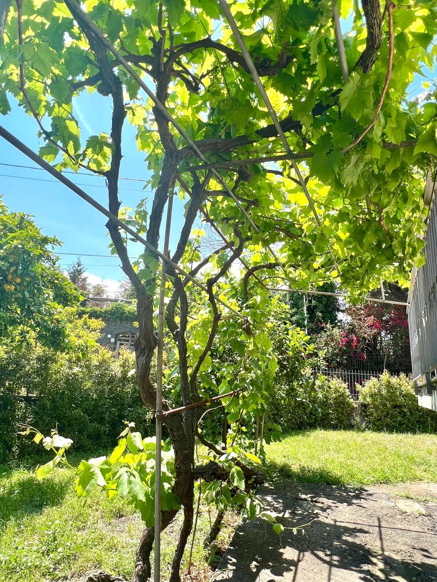Casa Vacanze "Sautufao" Santa Venerina Esterno foto